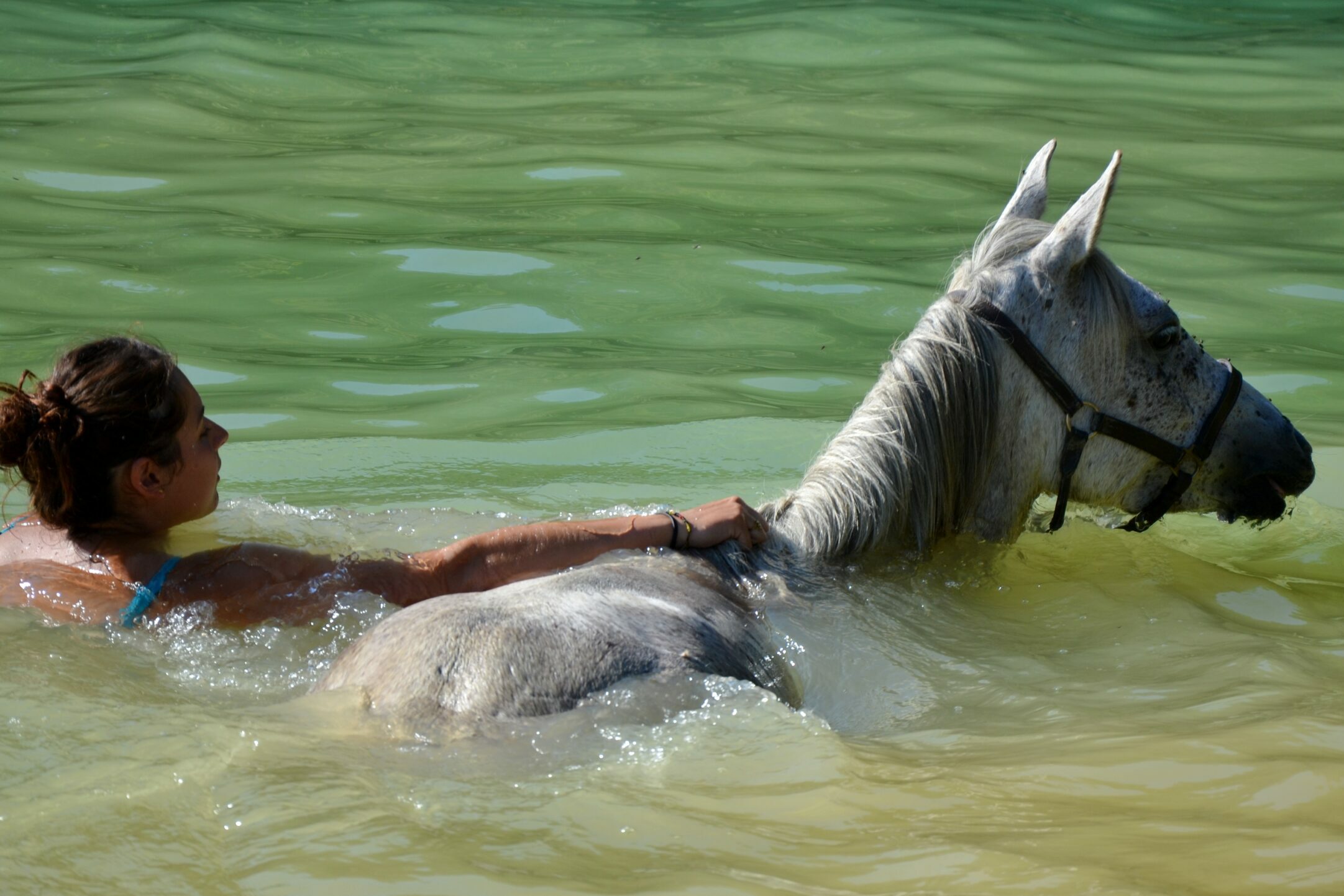 lac nager cheval