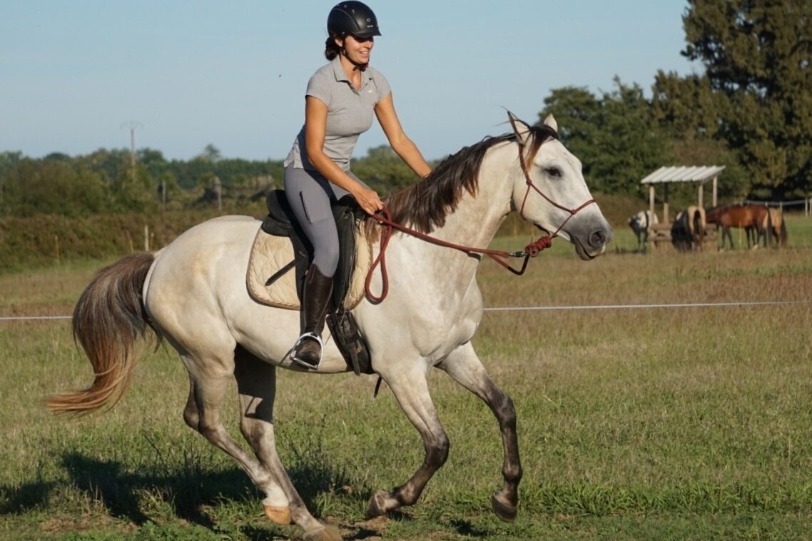 galop cheval licol etho