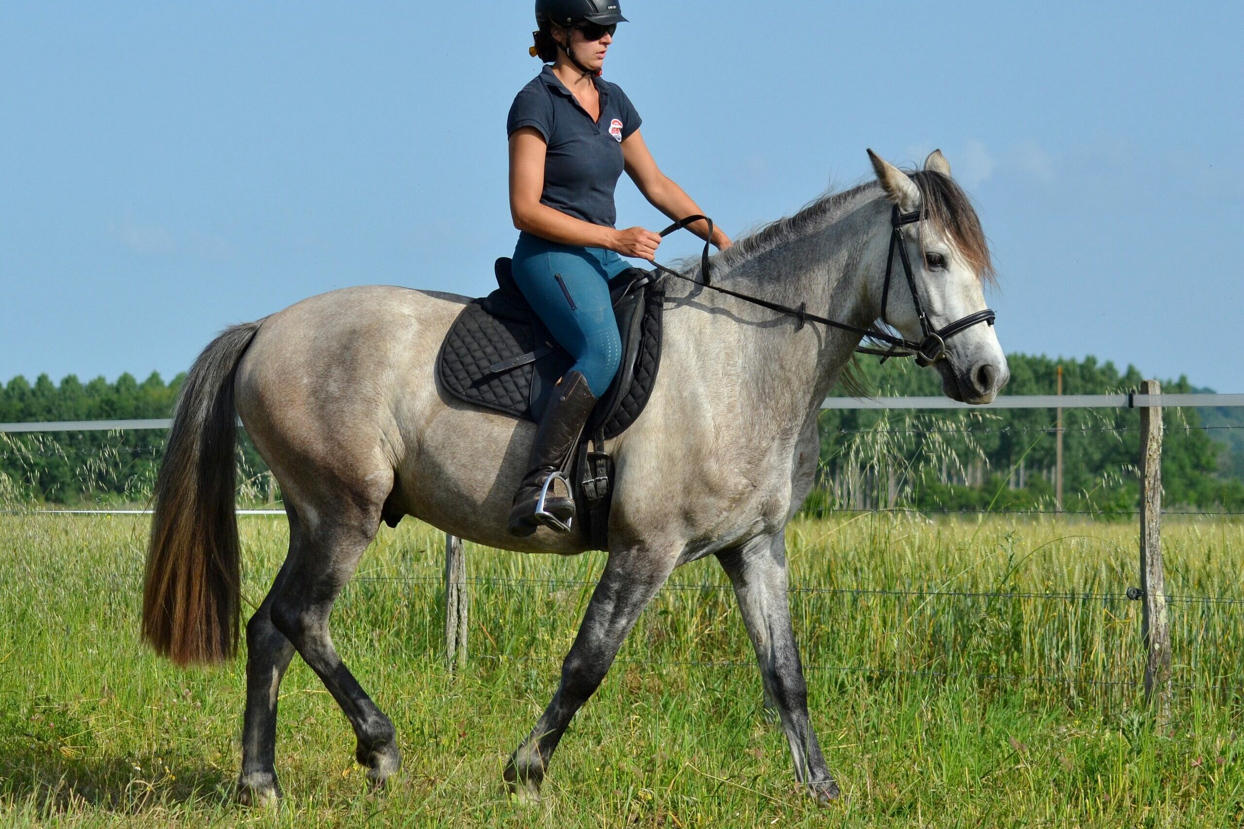 Philippine Landreau Equiphile