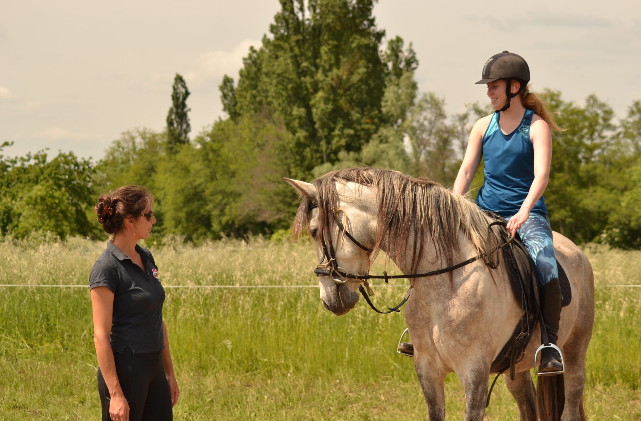 cours équitation éthologique