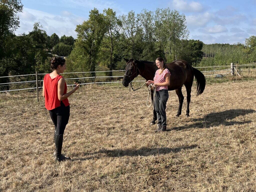 équitation gironde