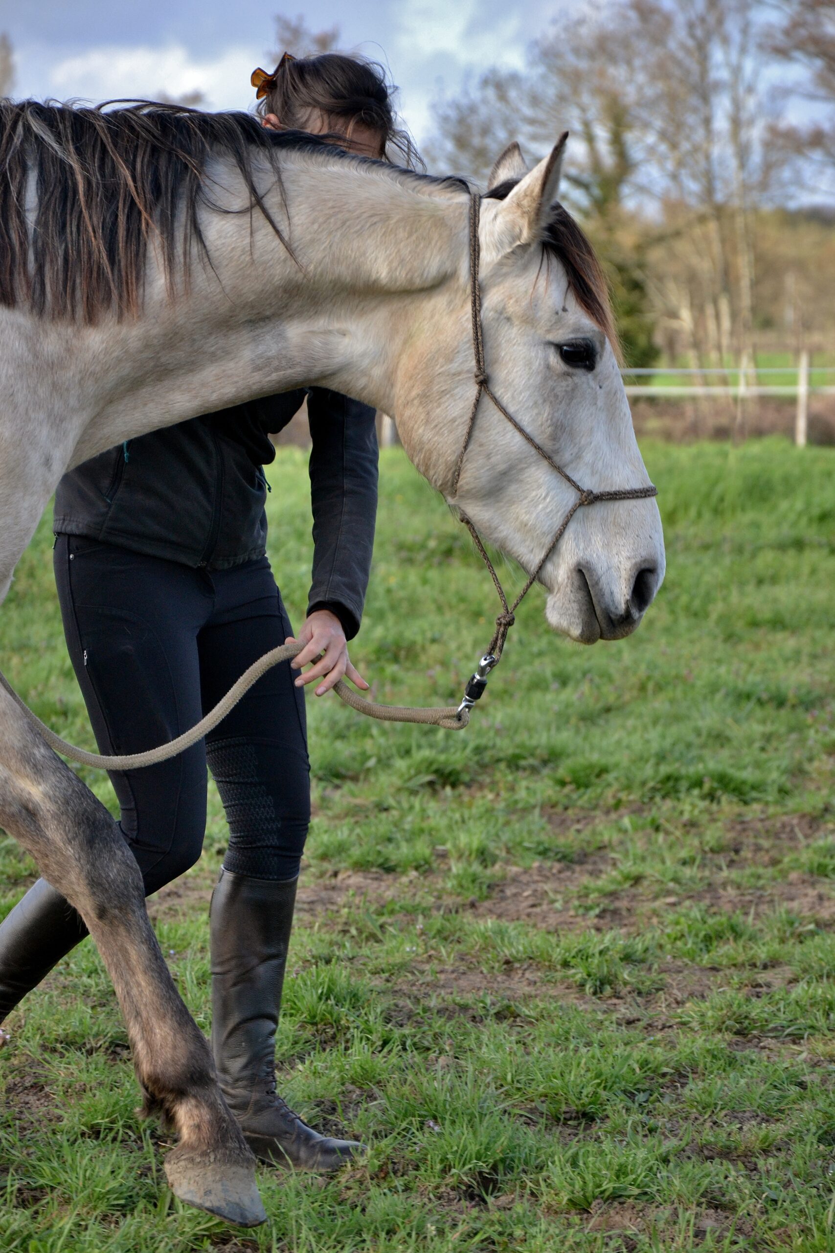 Equiphile équitation éthologique