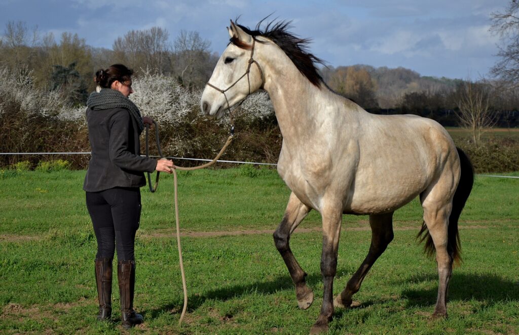 équitation gironde