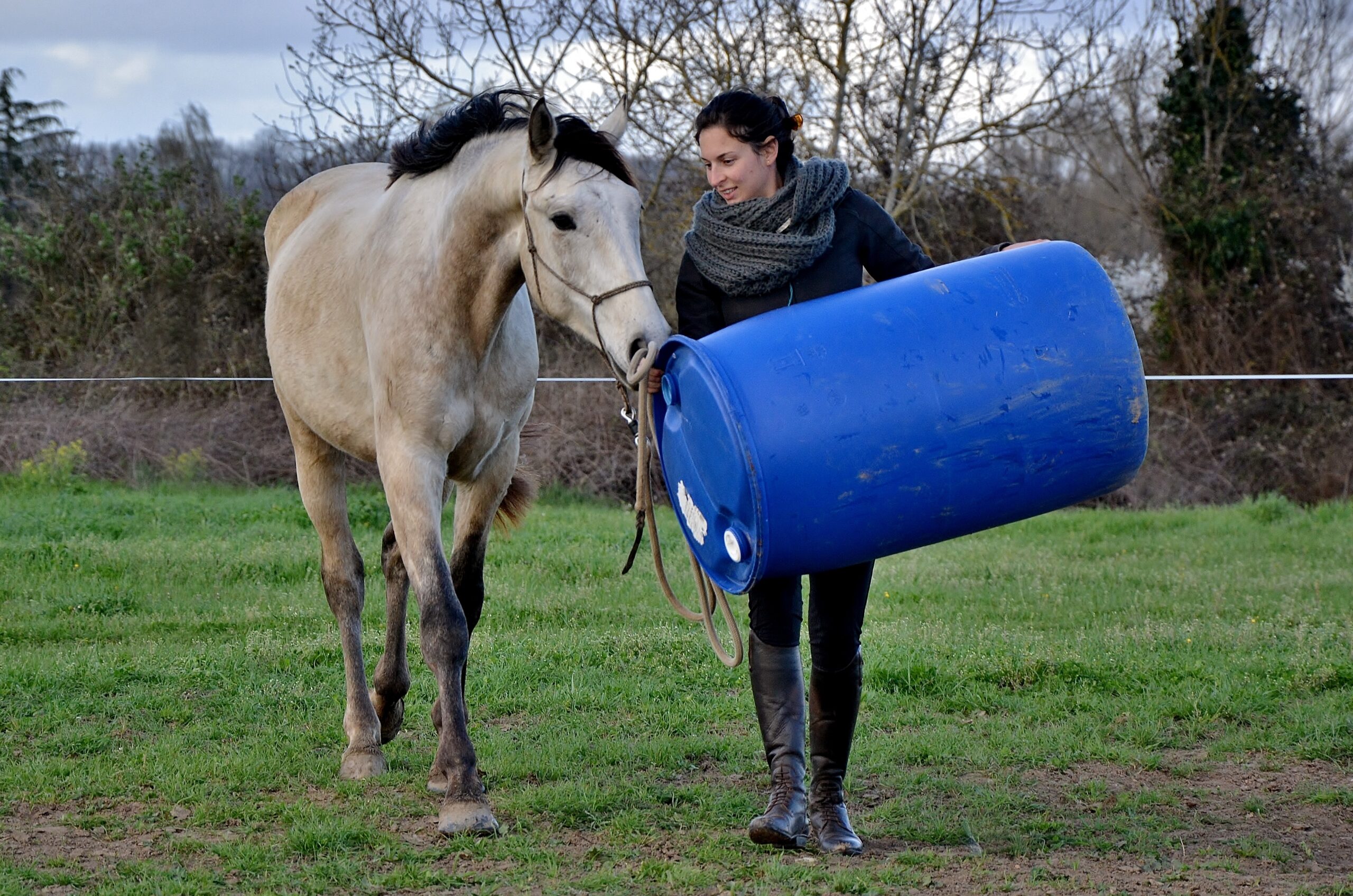 Mon approche du cheval & de l’éthologie