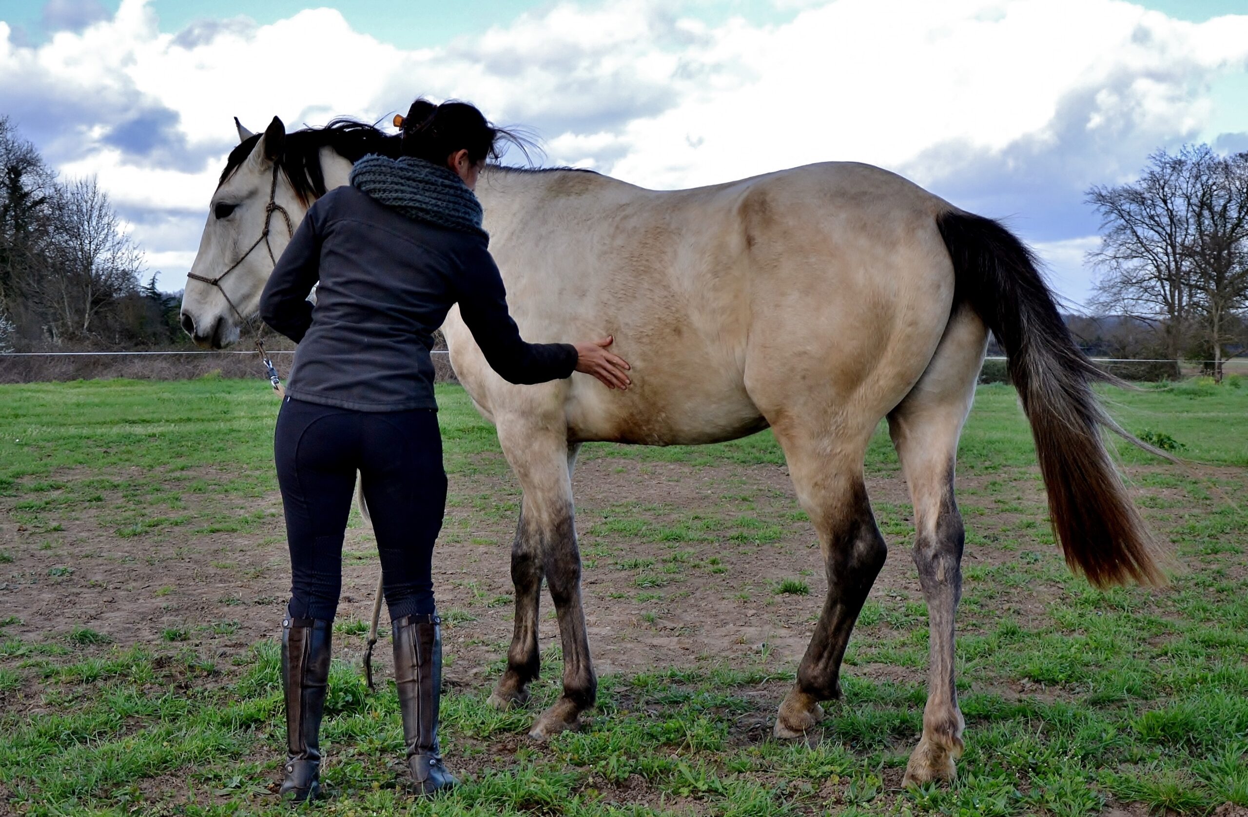 Débourrage poney