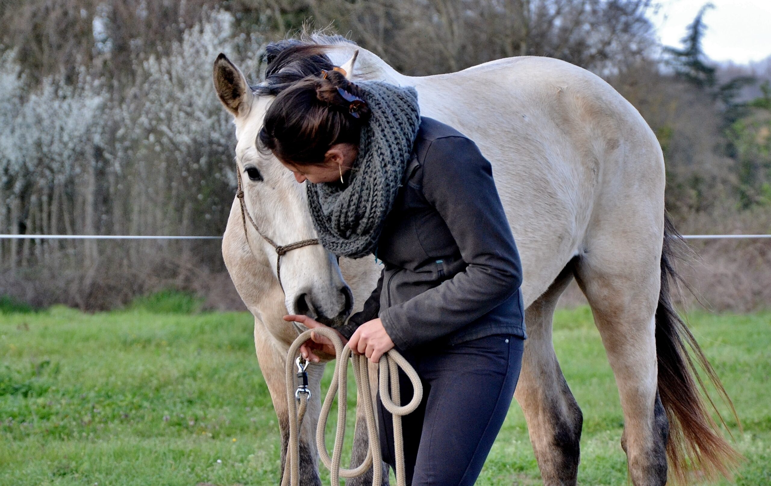 apprentissage cheval relation