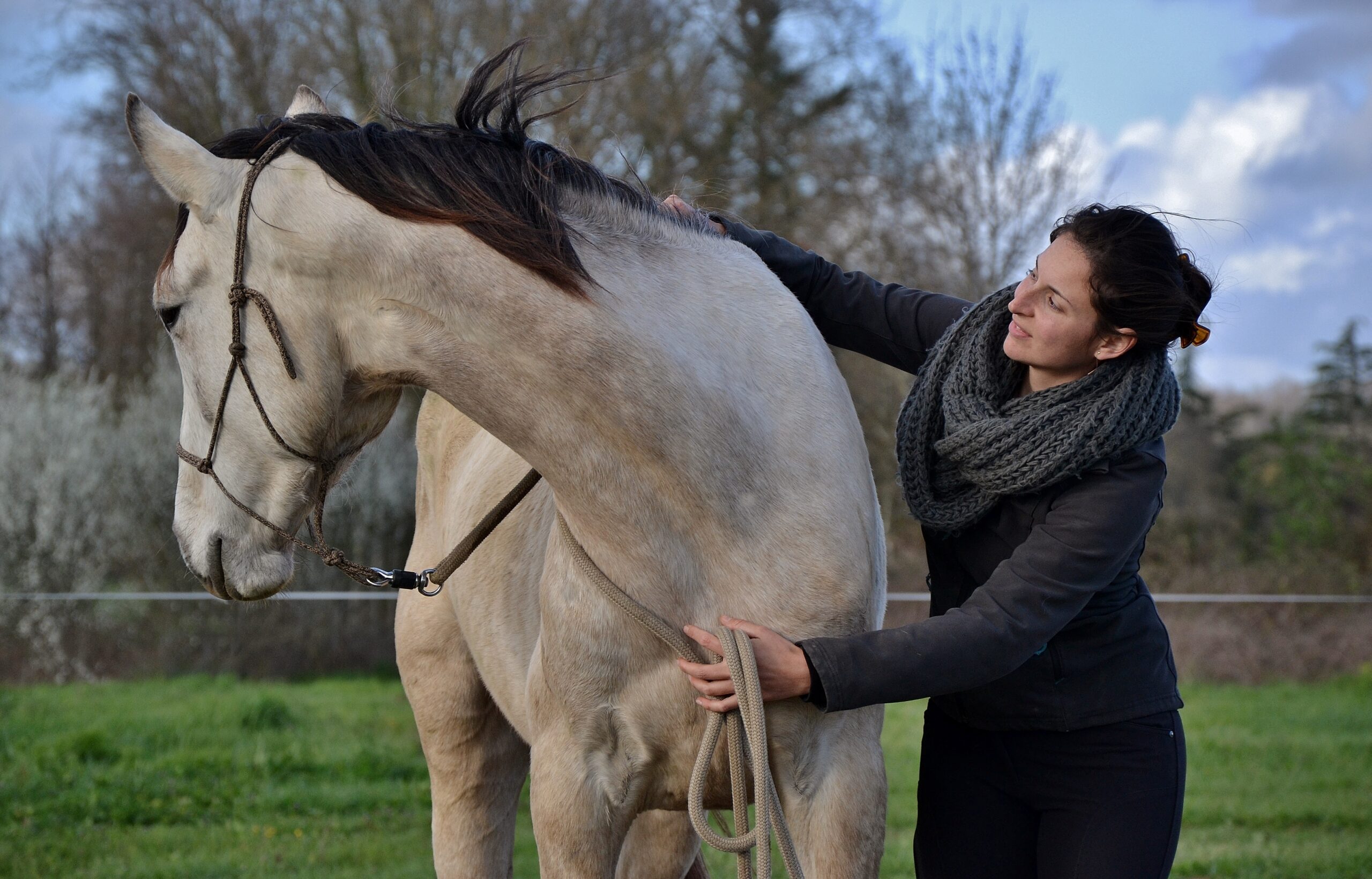 L’Equitation Ethologique ne se résume pas à une approche comportementale