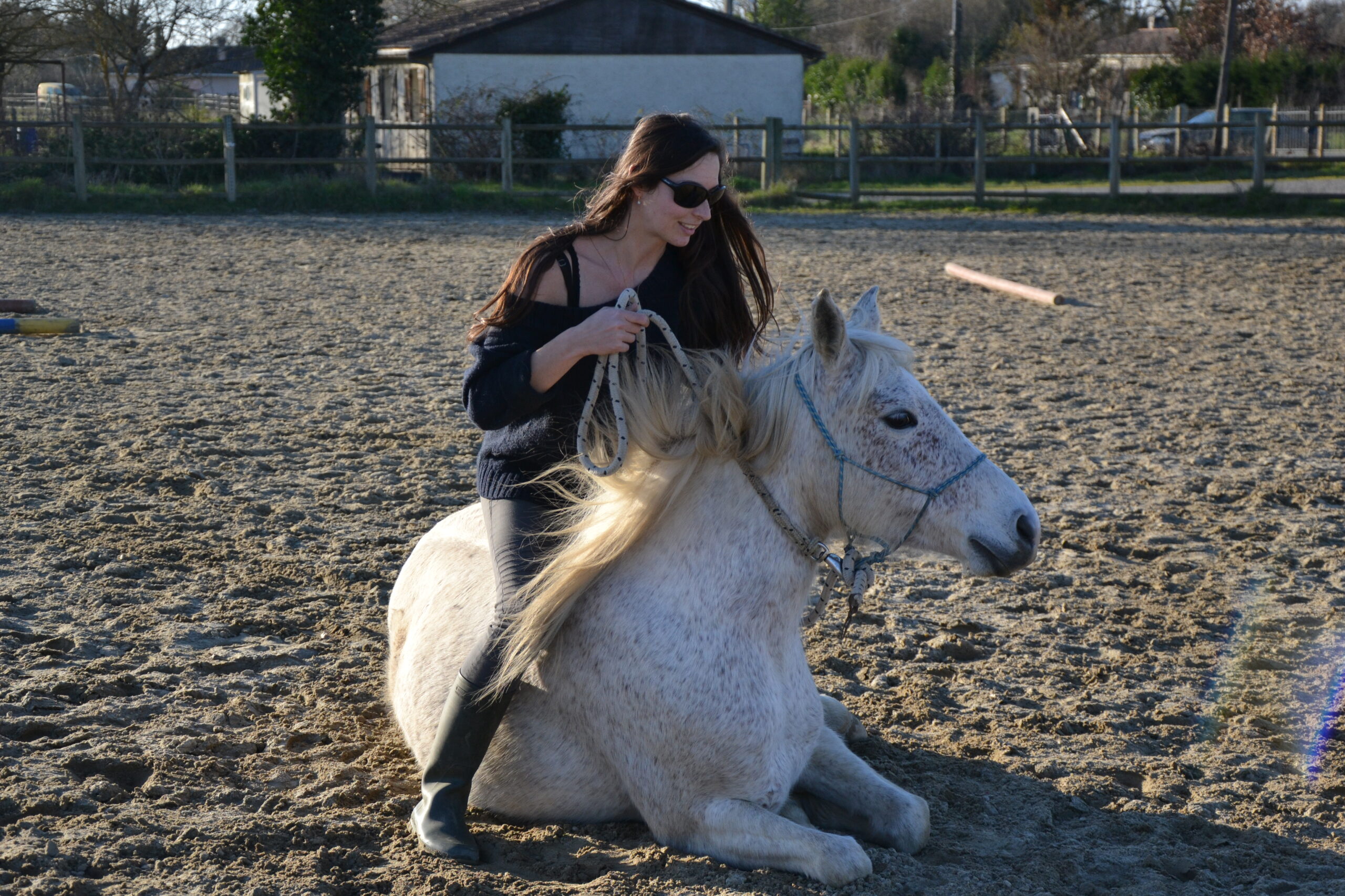 figure spectacle coucher cheval