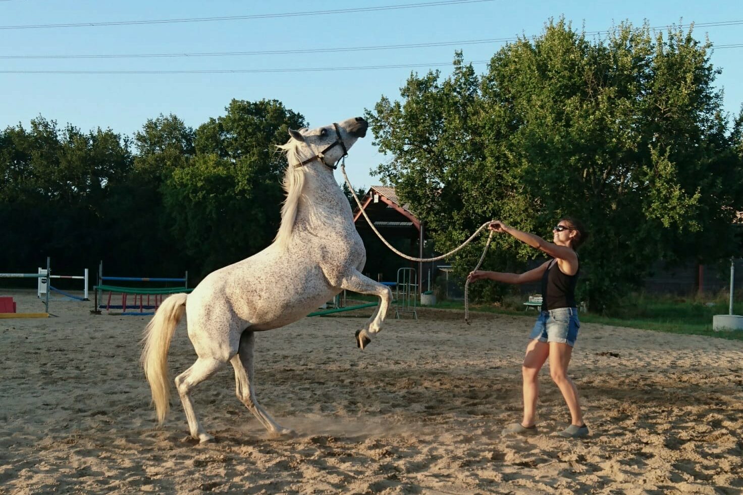 cours équitation tarifs