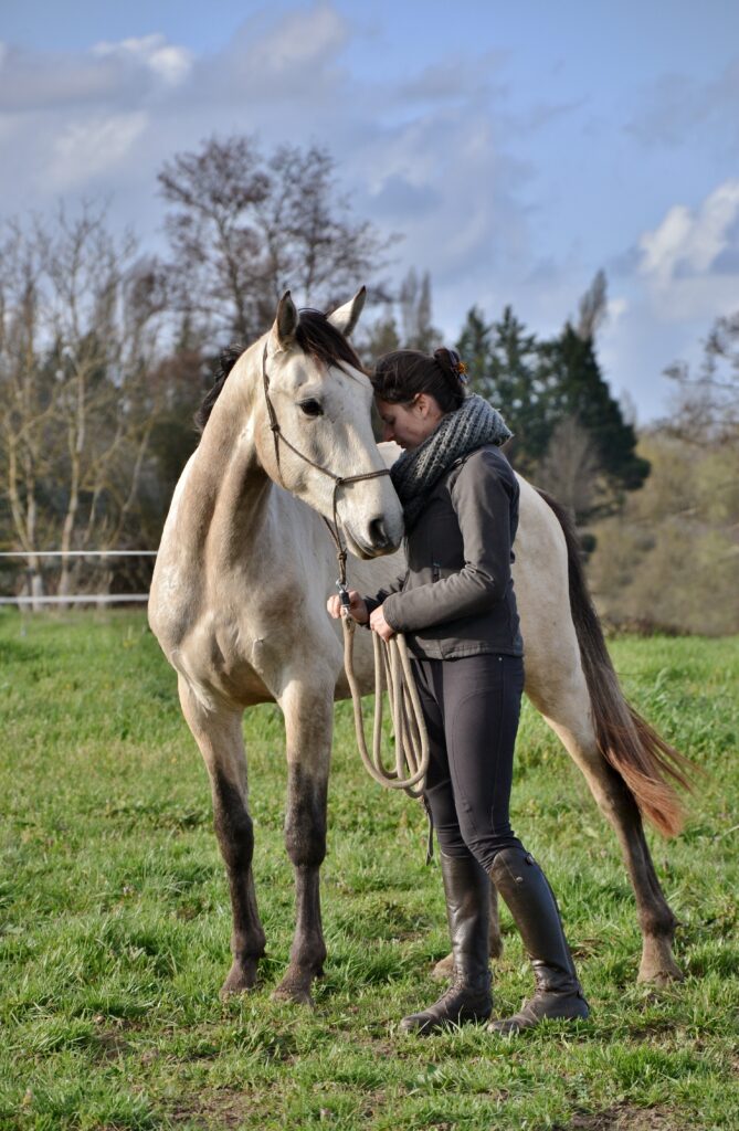 Equiphile équitation éthologique