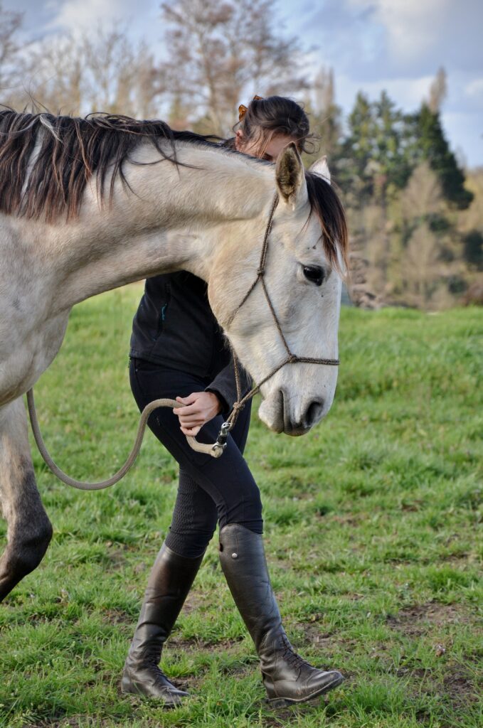 cours équitation tarifs