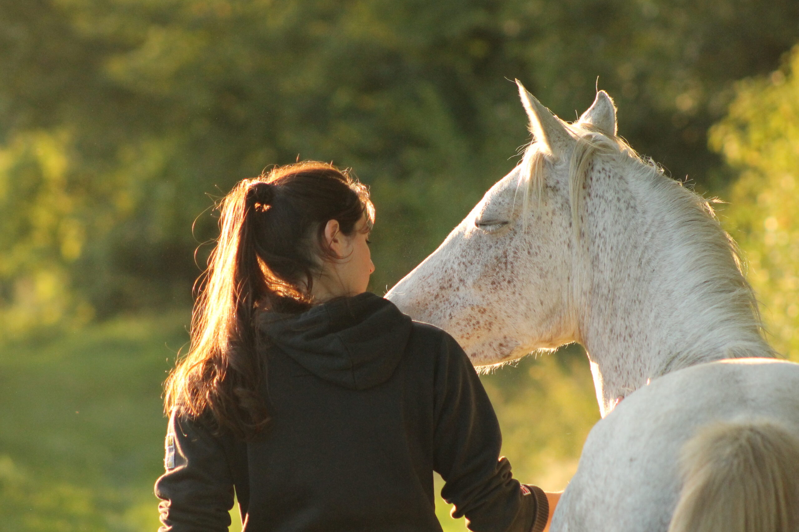 Philippine Landreau Equiphile